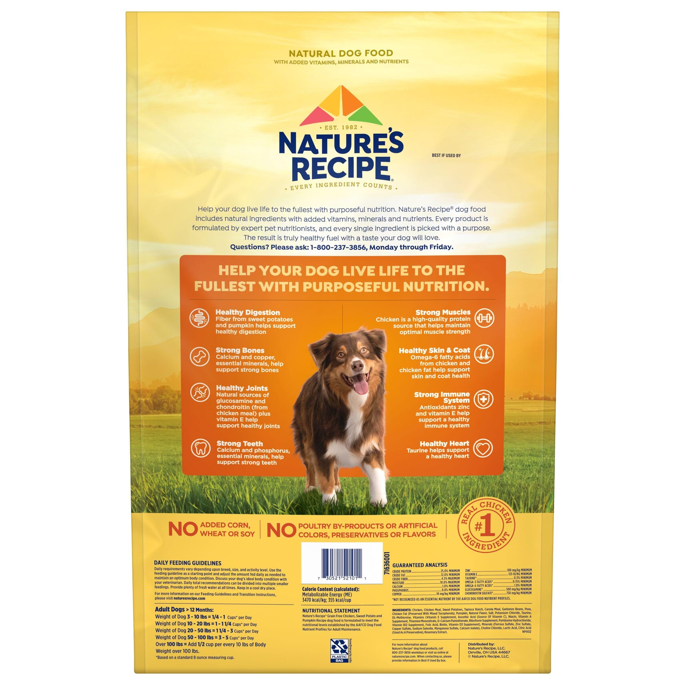 Nature's Recipe Grain-Free Chicken Sweet Potato and Pumpkin Recipe Dry Dog Food - 12 Lbs  