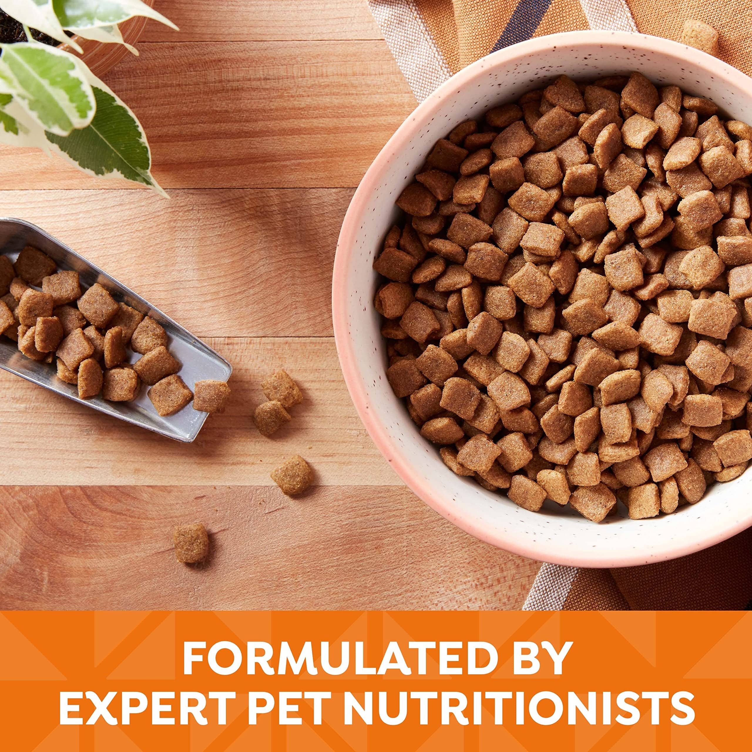 Nature's Recipe Grain-Free Chicken Sweet Potato and Pumpkin Recipe Dry Dog Food - 12 Lbs  