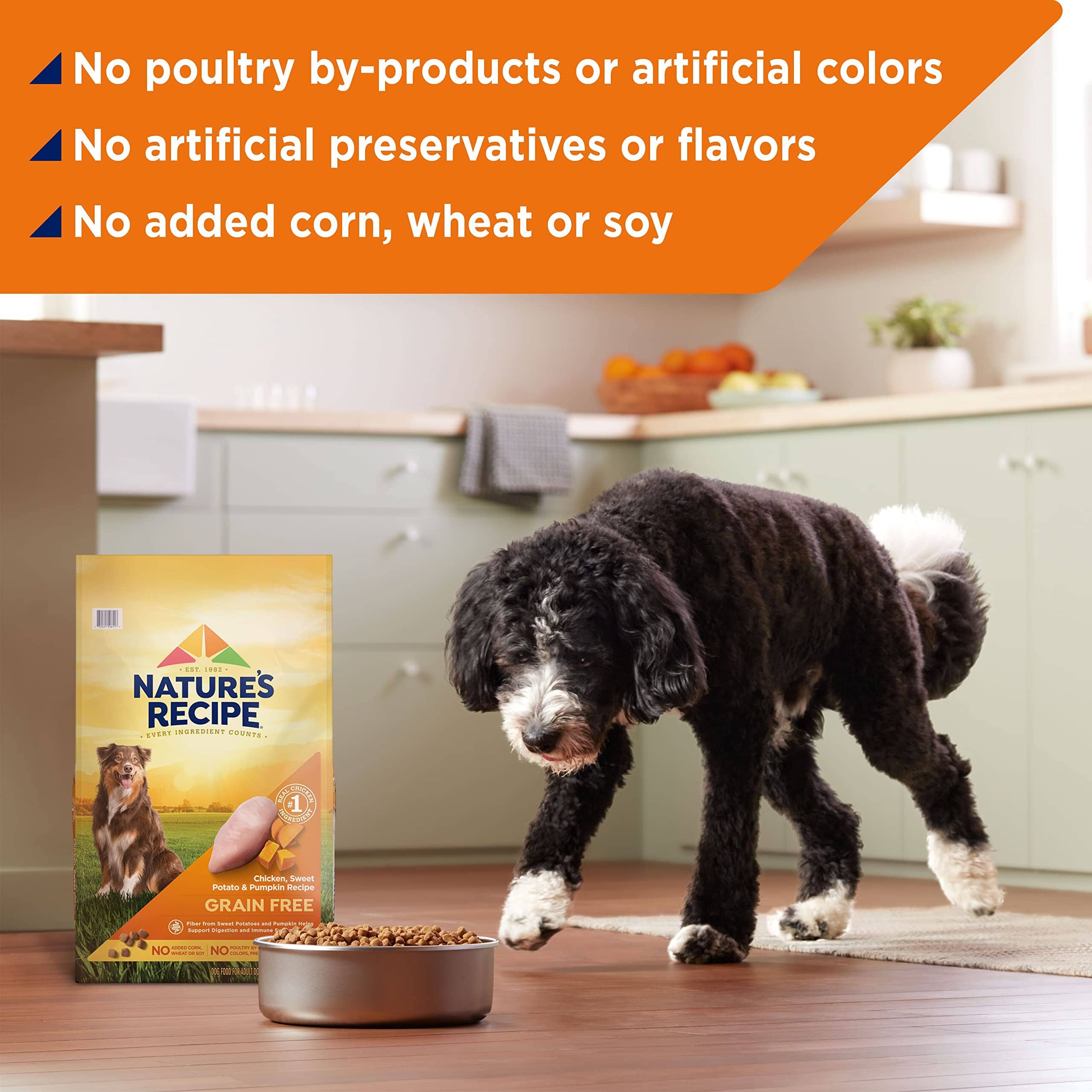 Nature's Recipe Grain-Free Chicken Sweet Potato and Pumpkin Recipe Dry Dog Food - 12 Lbs  