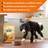 Nature's Recipe Grain-Free Chicken Sweet Potato and Pumpkin Recipe Dry Dog Food - 12 Lbs  