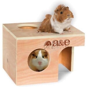 Nibbles Guinea Pig Hut Small Animal Hideaway - Large