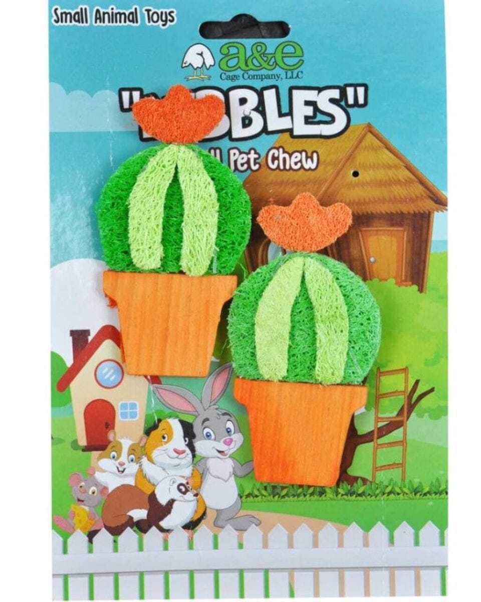 Nibbles Loofah Barrel Cactus Small Animal Chews - Small - 2 Pack