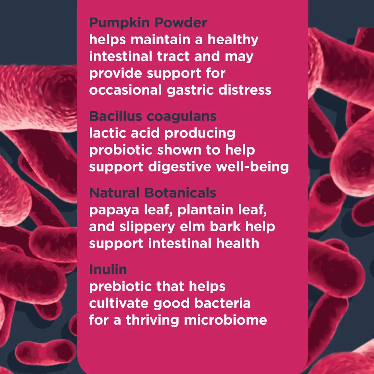 Nulo Functional Probiotic Chews Digestive Health Papaya Flavored Soft Chew Dog Supplements - 90 Count - 9.5 Oz