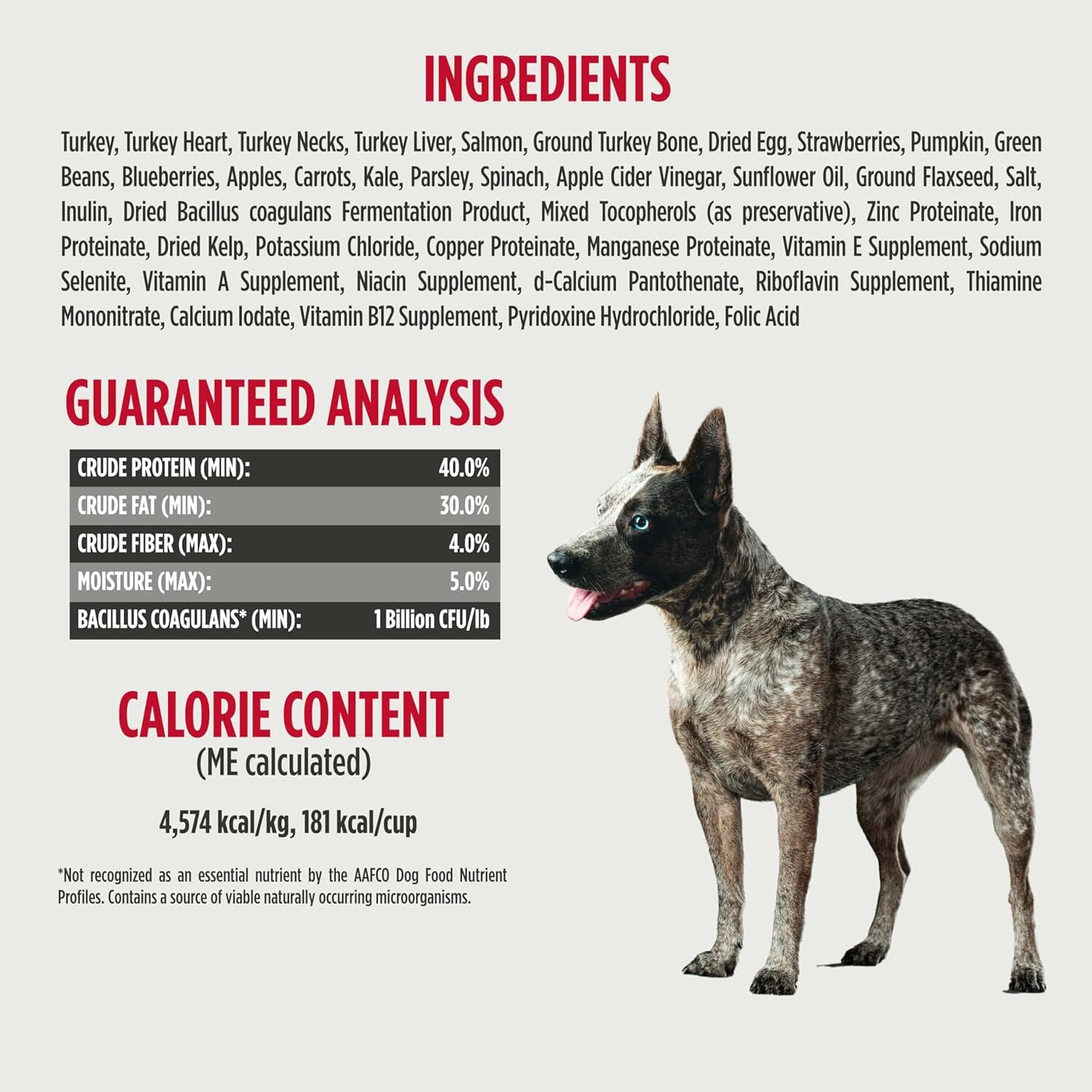 Nulo Grain-Free Freeze-Dried Raw Turkey and Salmon with Apples Complete and Balanced Dry Dog Food