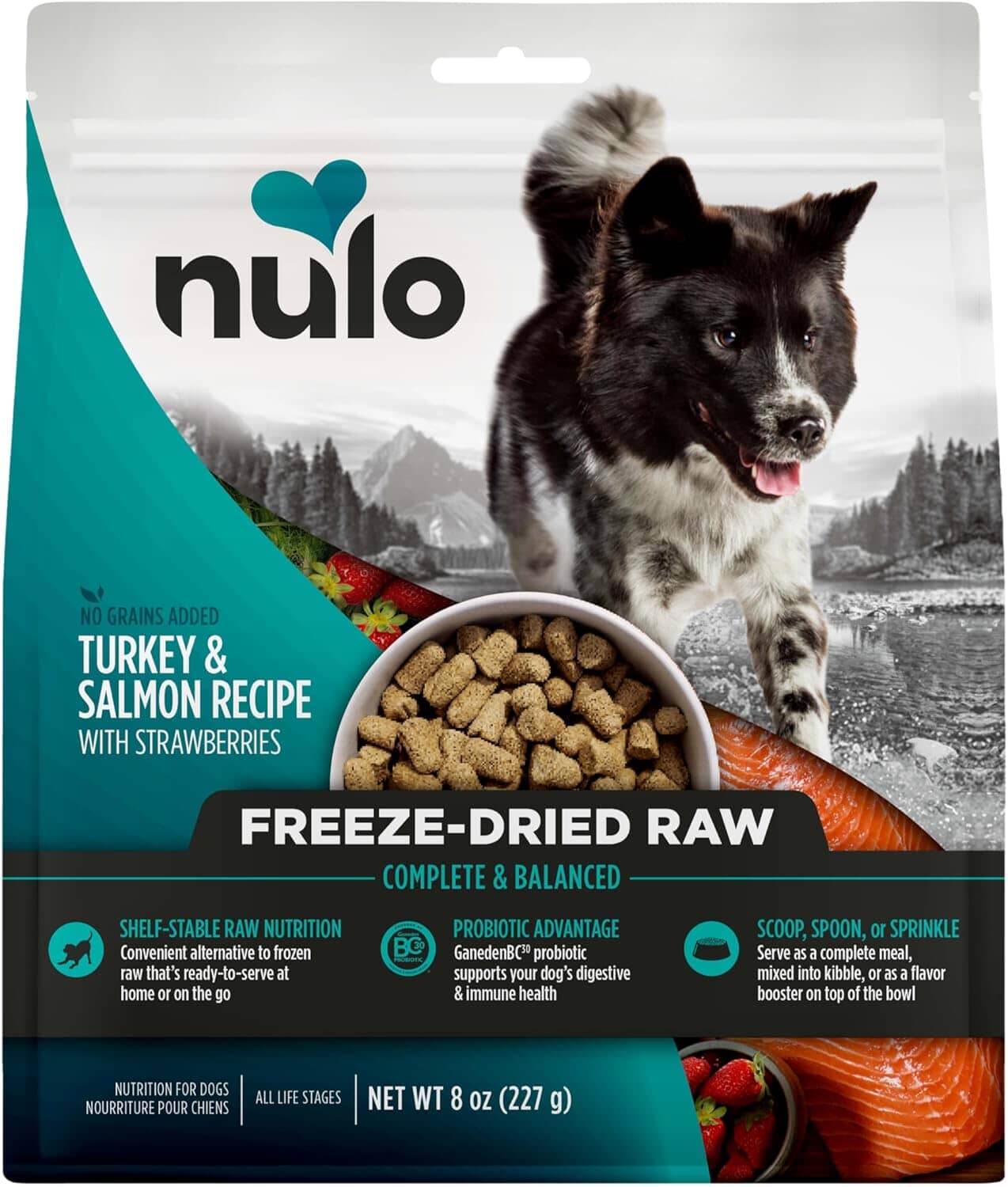 Nulo Grain-Free Freeze-Dried Raw Turkey and Salmon with Apples Complete and Balanced Dry Dog Food 8 Ounce