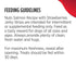 Nulo Grain-Free High-Protein Digestive and Immune Health Salmon with Strawberries Premium Strips Jerky Dog Treats - 5 Oz