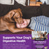 Nutri-Vet Daily Digestive and Immune Powder Omega-3-6 Supplemental Dog Food Topper - 1.76 Lbs - 30 Day Supply