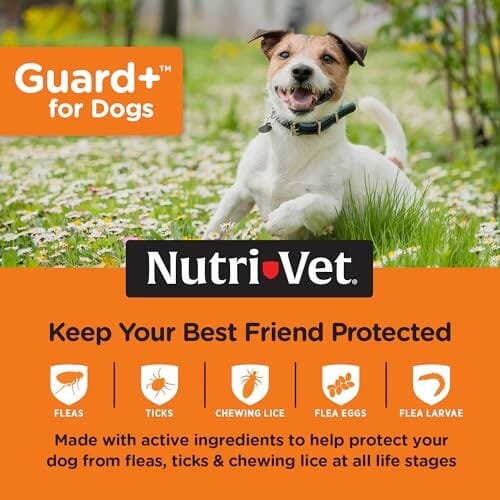 Nutri-Vet Guard+ Waterproof Topical Dog Flea and Tick Prevention Treatment - 3 Month Dose - 90 Count