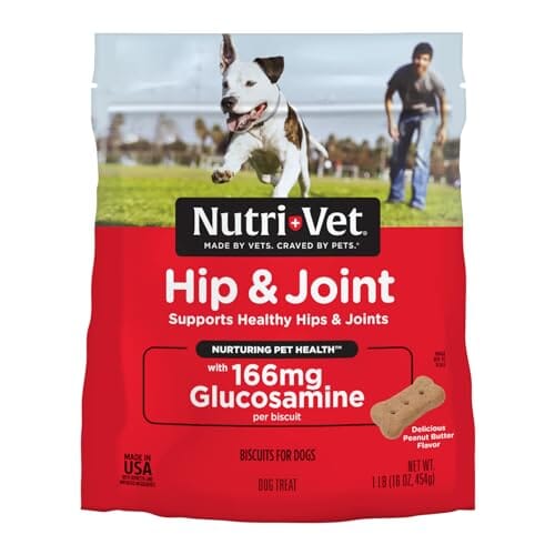 Nutri-Vet Hip and Joint Regular-Strength Peanut Butter Crunchy Dog Biscuits Treats Small - 16 Oz