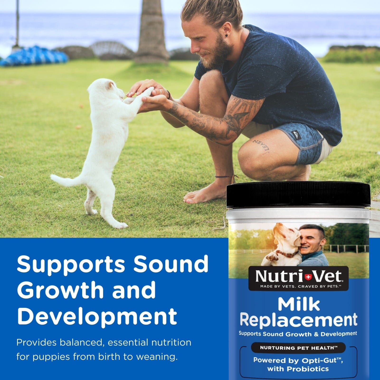 Nutri-Vet Milk Replacer Powder with Probiotics for Nursing Puppies - 12 Oz
