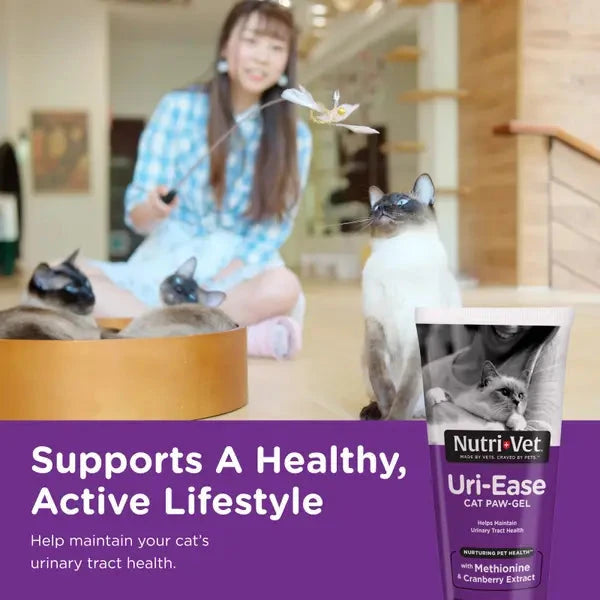 Nutri-Vet Uri-Ease Paw Gel Urinary Tract Health Cranberry Extract and Salmon Cat Supplement - 3 Oz