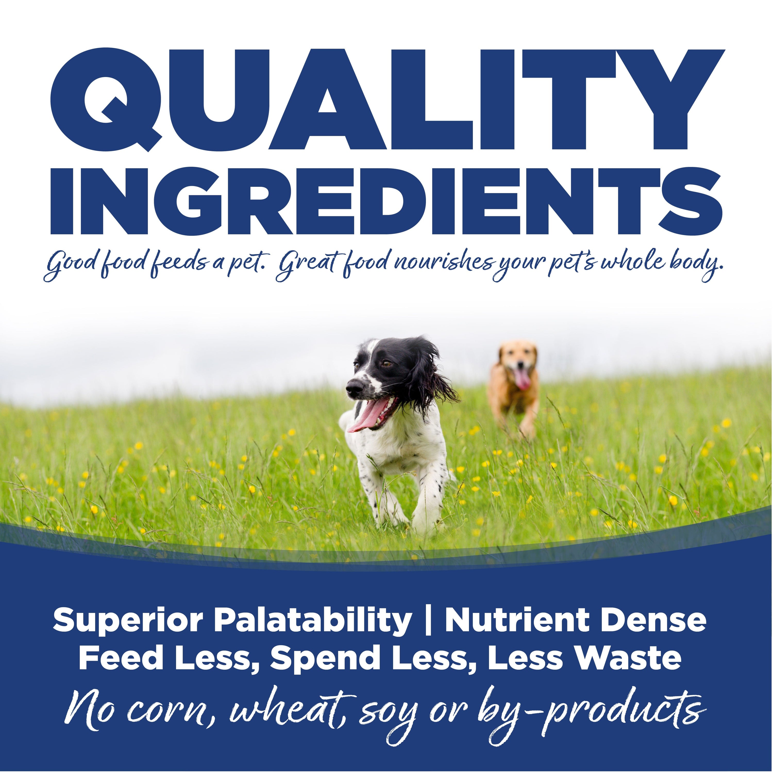 Nutrisource Adult Trout & Rice Dry Dog Food - 30 lb Bag