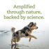 Nutrisource AmpliFull Immune plus Digestive Support Gummies Apple Supplemental Dog Chews - 90 Count - 11 Oz