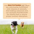 Nutrisource AmpliFull Turkey Flavored Multivitamin Adult Supplemental Dog Soft Chews - 70 Count - 12.5 Oz