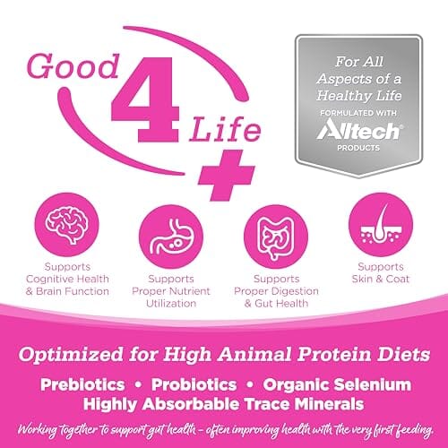 Nutrisource Element Series Scenic Meadow Grain-Free Turkey Duck and Rabbit Dry Cat Food - 4 Lbs