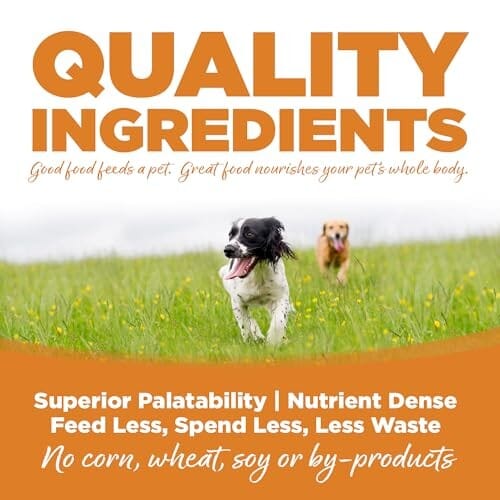 Nutrisource Lamb and Rice with Wholesome Grains Adult Dry Dog Food - 12 Lbs