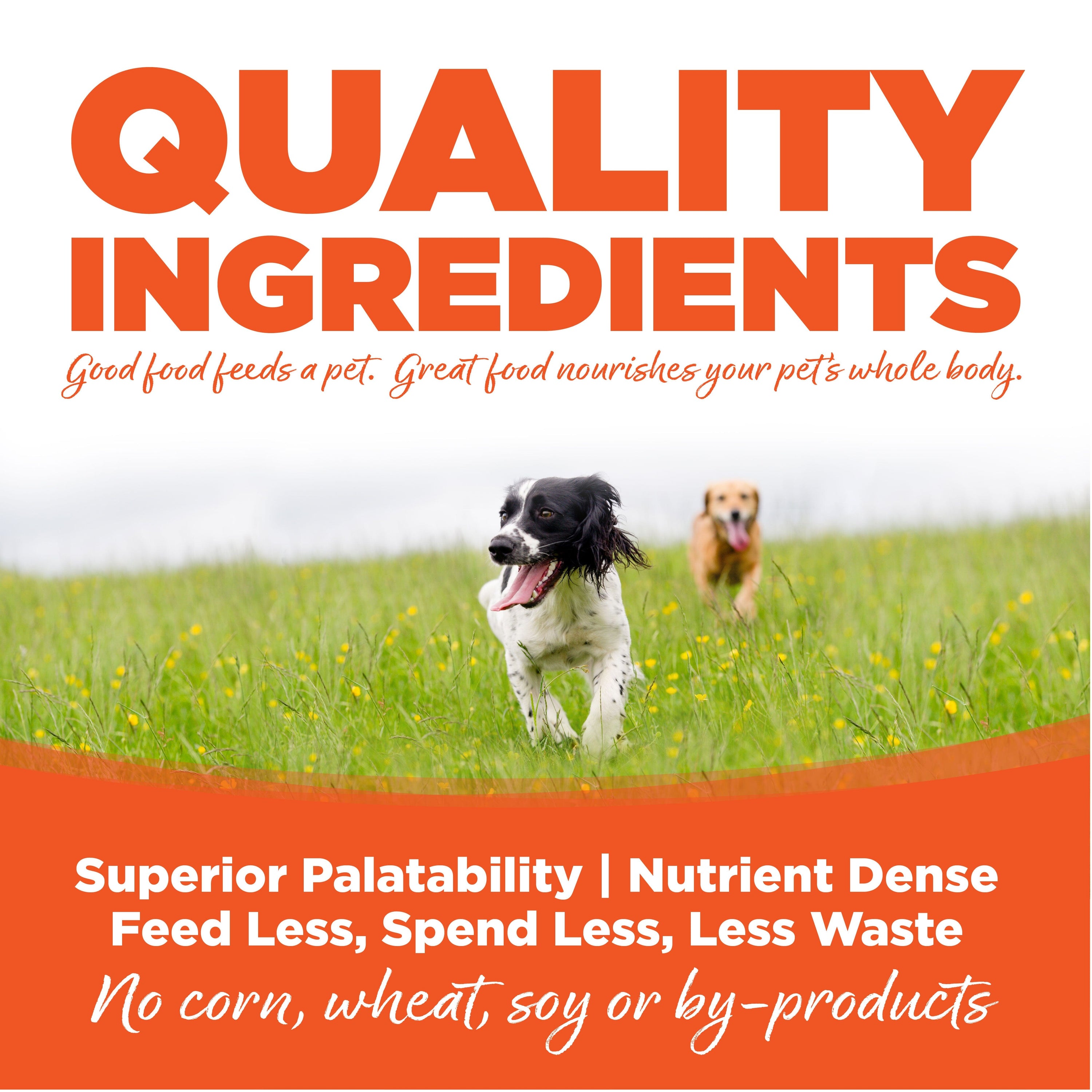 Nutrisource Performance Chicken & Rice Dry Dog Food - 40 lb Bag