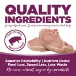 Nutrisource Pure Vita Grain-Free Pork Entrée Tetra Packs Wet Dog Food - 12.5 oz - Case of 12