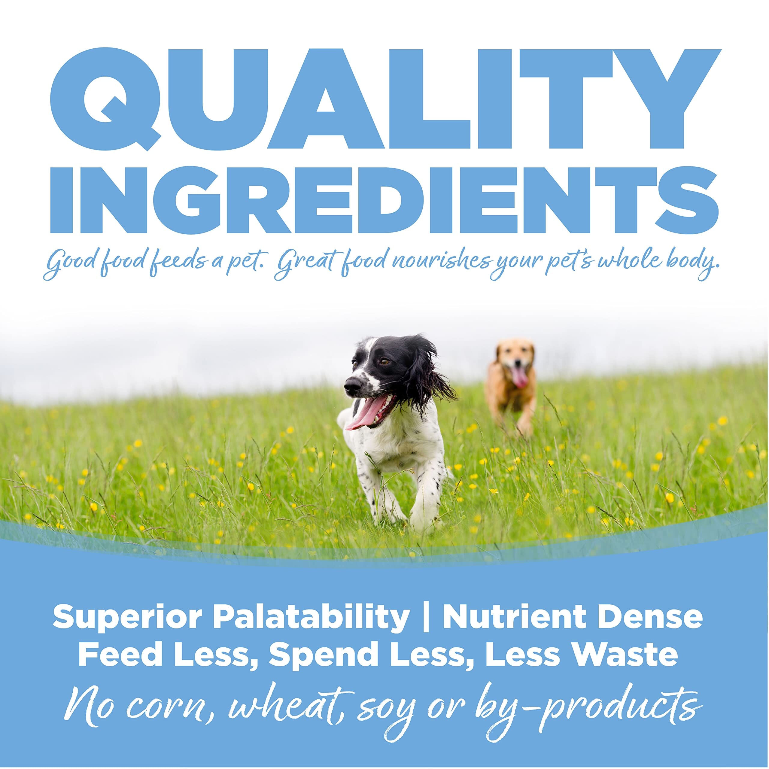 Nutrisource Trout and Brown Rice Large-Breed Formula Dry Dog Food - 26 Lbs  