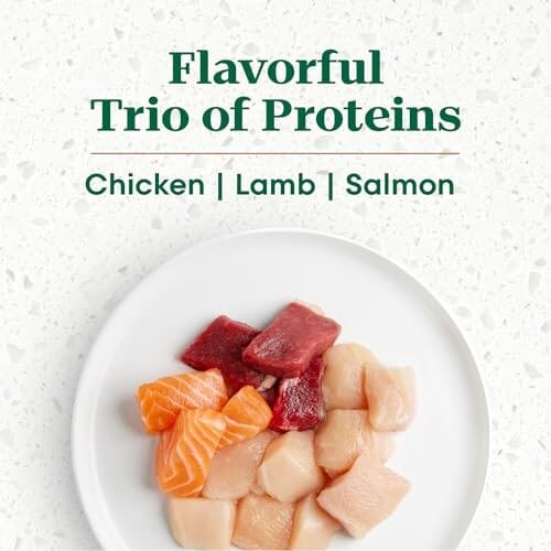 Nutro Ultra-High Protein Superfood Plate Chicken Lamb Salmon Large-Breed Puppy Dry Dog Food - 27 Lbs
