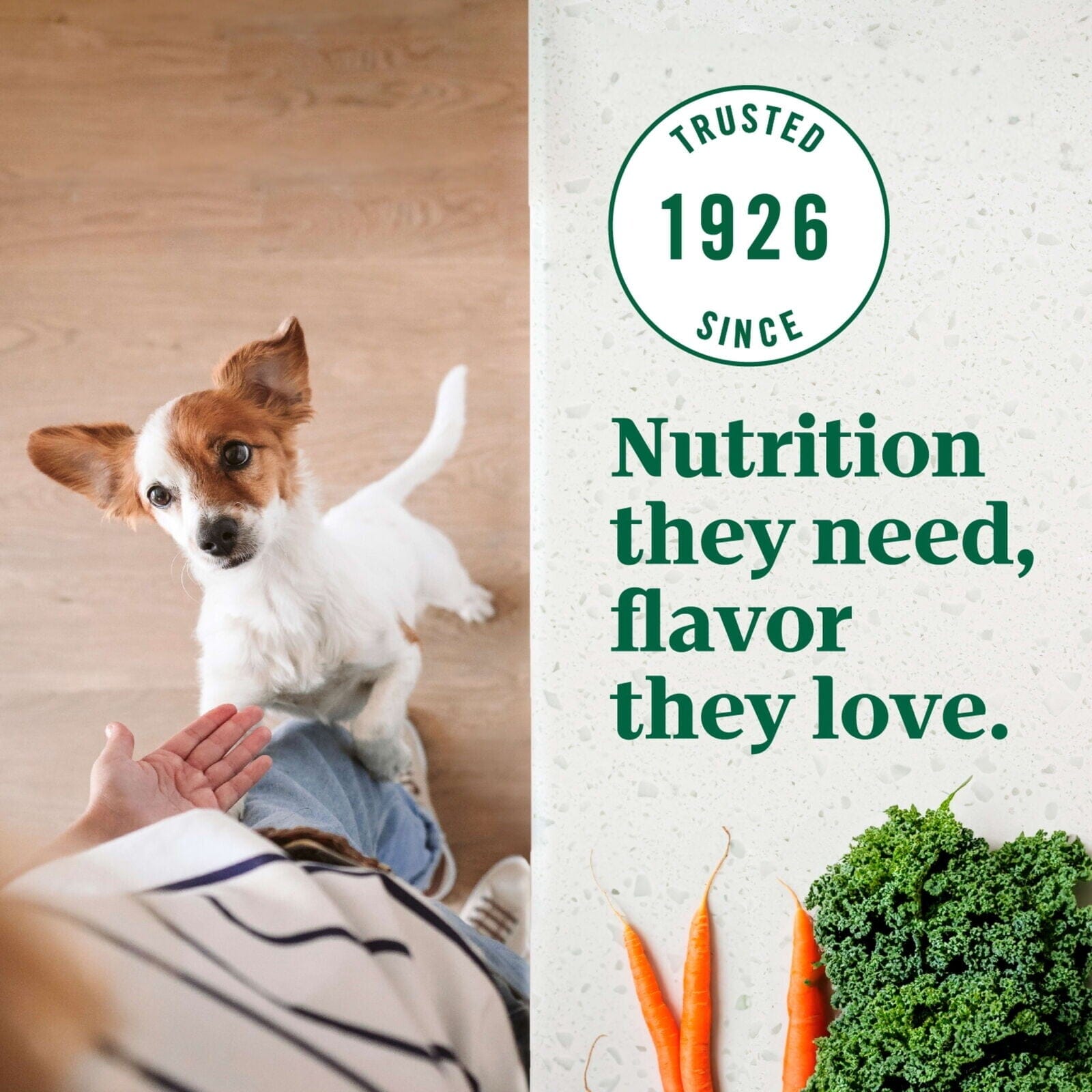 Nutro Ultra-High Protein Superfood Plate Chicken Lamb Salmon Small-Breed Adult Dry Dog Food - 3.5 Lbs