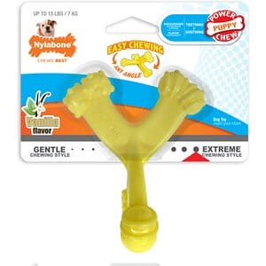Nylabone Axis-Bone Power-Chew Vanilla Flavored Puppy Nylon Dog Toy - Small/Regular Default Title