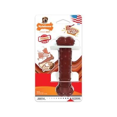 Nylabone Basted Blast Textured Bone Power-Chew Bacon and Steak Flavored Fetch and Chew Dog Toy Medium