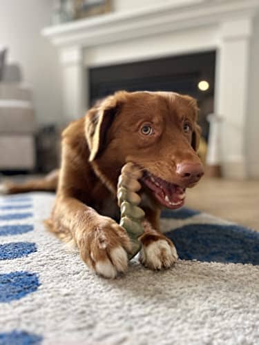 Nylabone Gator Tail Alternative Power-Chew Chicken Flavored Nylon Chew Dog Toy - Large/Giant