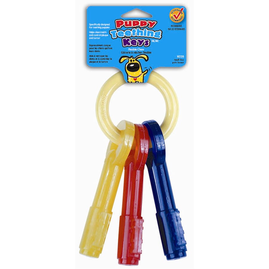 Nylabone Keys and Ring Teething Puppy Bacon Flavored Nylon Chew Dog Toy Small