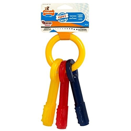 Nylabone Keys and Ring Teething Puppy Bacon Flavored Nylon Chew Dog Toy Extra Small