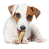 Nylabone Original Bone Flexi-Chew Moderate-Chew Chicken Flavored Chew Dog Toy Small/Regular