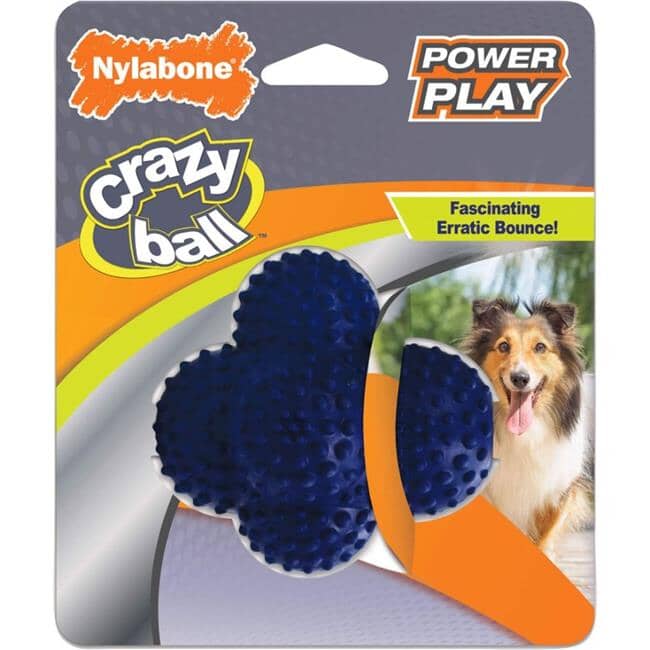 Nylabone Power Play Crazy Ball Fetch and Chew Rubber Dog Toy - Blue - Large Default Title