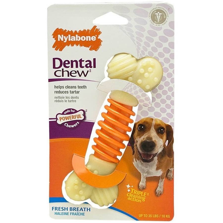 Nylabone Pro-Action Dental Bone Power-Chew Bacon Flavored Nylon Chew Dog Toy Medium