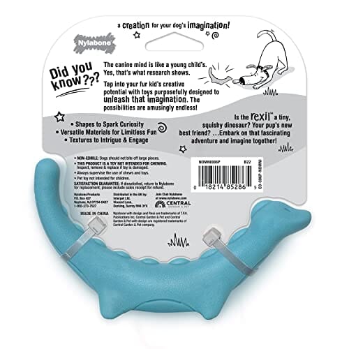 Nylabone Rexii Dinosaur Lightweight and Flexible Fetch and Chew Durable Foam Floating Dog Toy  