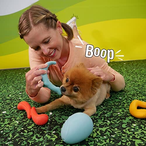 Nylabone Rexii Dinosaur Lightweight and Flexible Fetch and Chew Durable Foam Floating Dog Toy  