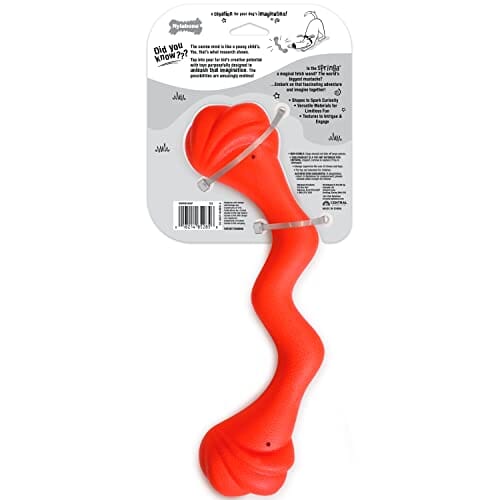 Nylabone Springa Creative Lightweight Flexible and Floating Fetch and Tug Dog Toy