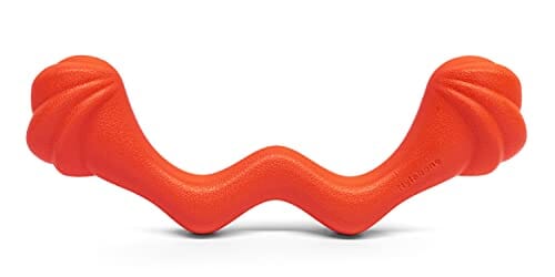 Nylabone Springa Creative Lightweight Flexible and Floating Fetch and Tug Dog Toy