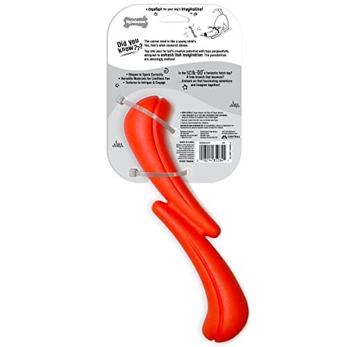 Nylabone Stick-GO Creative Lightweight Flexible and Floating Fetch and Tug Dog Toy