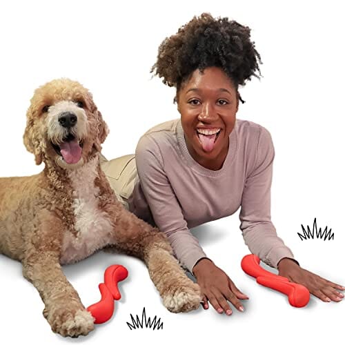 Nylabone Stick-GO Creative Lightweight Flexible and Floating Fetch and Tug Dog Toy