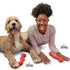 Nylabone Stick-GO Creative Lightweight Flexible and Floating Fetch and Tug Dog Toy