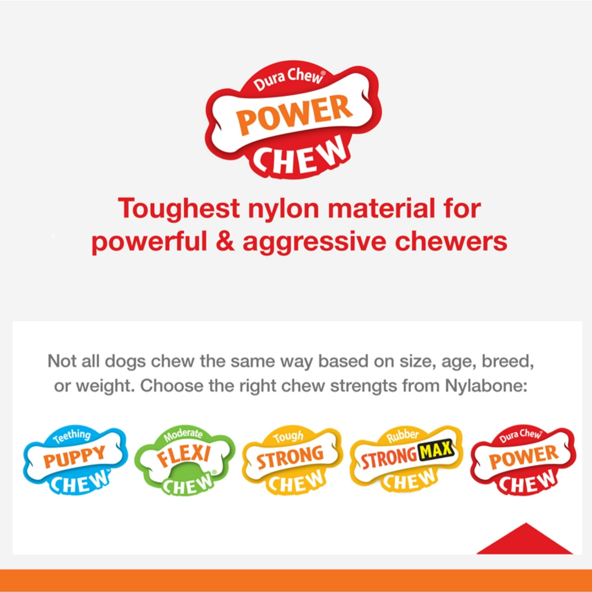 Nylabone Textured-Bone Durable Power-Chew Flavor Frenzy Beef Jerky Flavor Nylon Chew Dog Toy