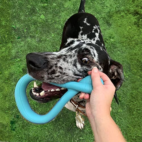 Nylabone Tuug Flexible Interactive Tug and Fetch Floating Rubber Dog Toy     