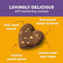 Old Mother Hubbard Wholesome Indulgences Peanut Butter and Banana Biscuit Dog Treats - 10 Oz