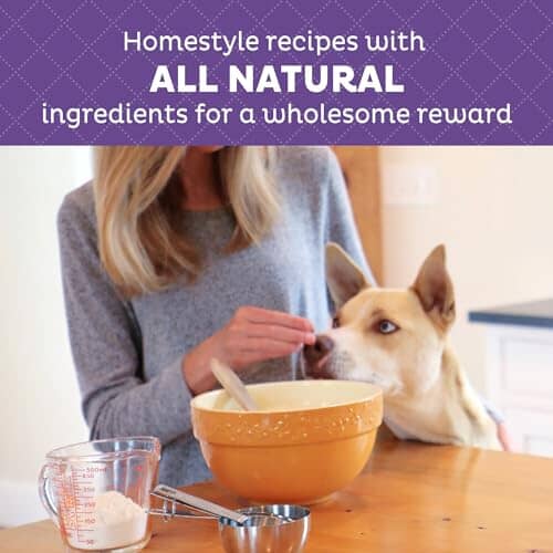 Old Mother Hubbard Wholesome Indulgences Peanut Butter and Banana Biscuit Dog Treats - 10 Oz