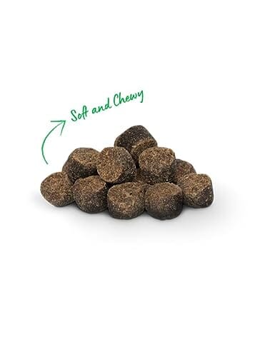 Open Farm Be Good Bites Non-GMO Insect and Wholesome Grains Dehydrated Soft and Chewy Training Dog Treats - 6 Oz