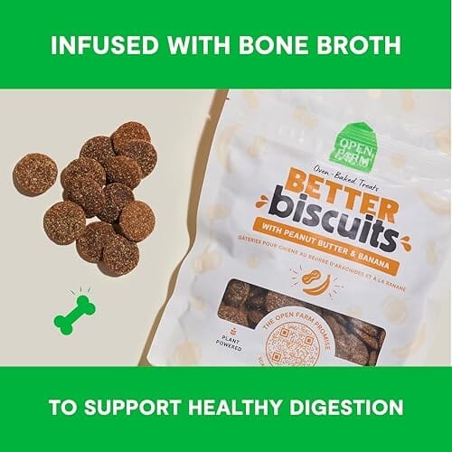 Open Farm Better Biscuits Wild-Caught Salmon and Oatmeal with Probiotics Oven-Baked Crunchy Dog Treats - 8 Oz