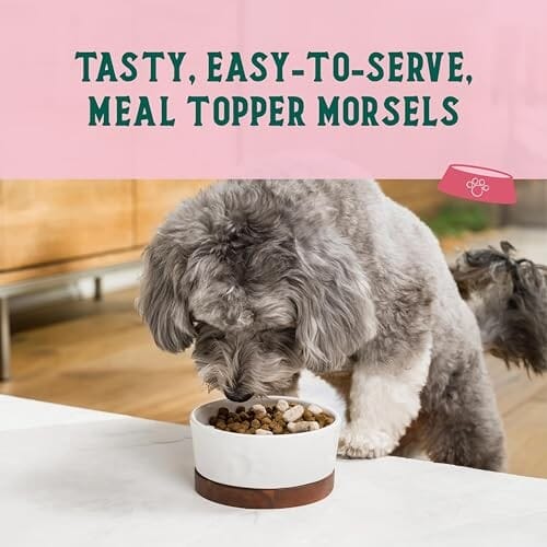 Open Farm Goodbowl Wild-Caught Salmon with Wholesome Grains Freeze-Dried Raw Dog Food or Topper