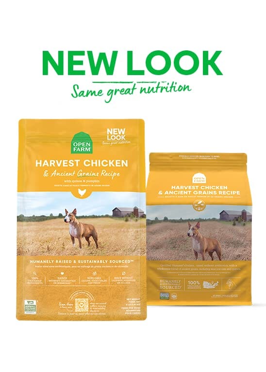 Open Farm Harvest Chicken and Ancient Grains Dry Dog Food - 22 Lbs  