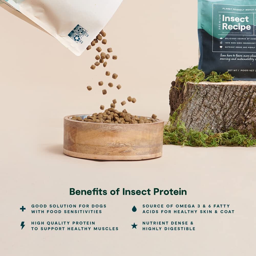 Open Farm Kind Earth Premium Insect with Superfoods Recipe Dry Dog Food - 3.5 Lbs  