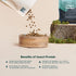 Open Farm Kind Earth Premium Insect with Superfoods Recipe Dry Dog Food - 3.5 Lbs  